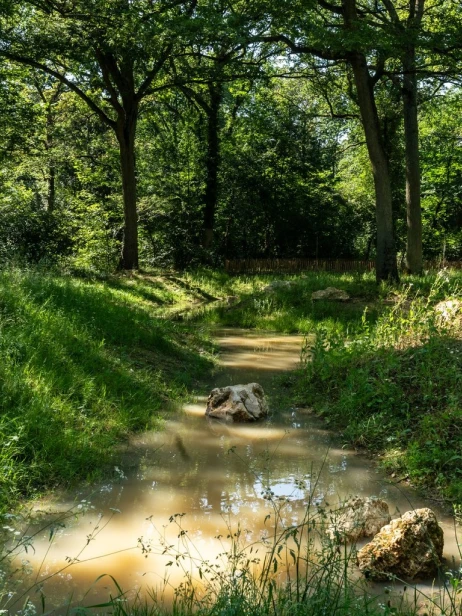 expertise environnement cours d'eau