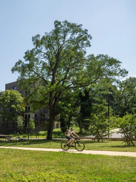 expertise mobilité vélo dans un parc