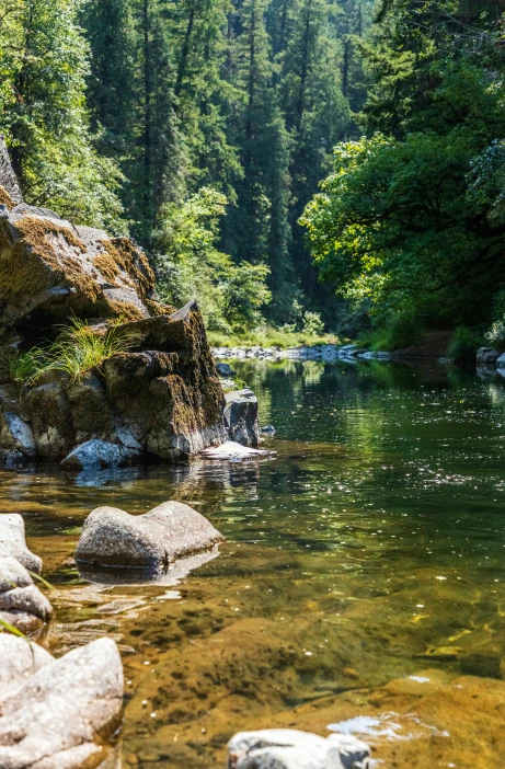 méthodologie génie écologique rivière