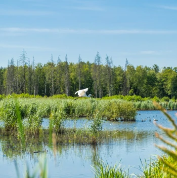 zones intervention maîtrise d'oeuvre milieux naturels vivants