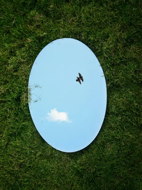 Miroir dans l'herbe reflétant le ciel et deux oiseaux