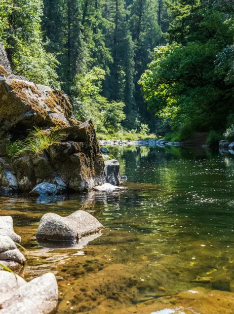 rivière milieux naturels vivants