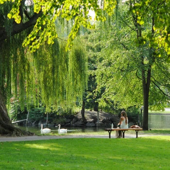 zones intervention maîtrise d'oeuvre villes et territoires résilients