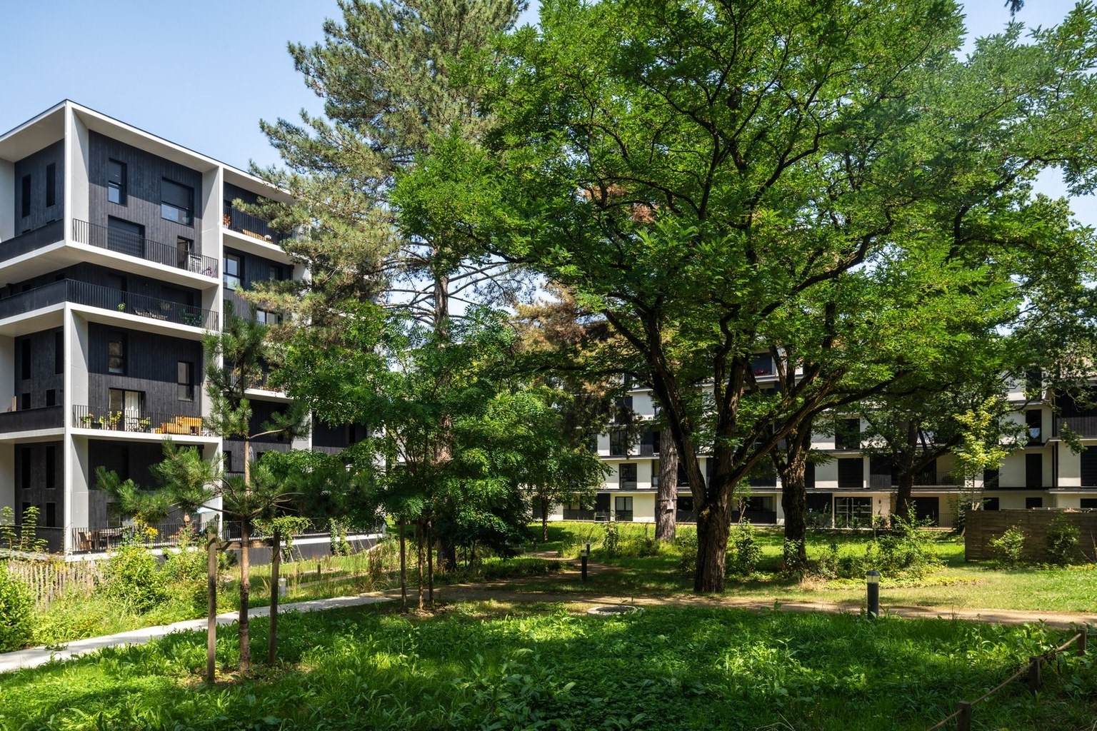 Résidences modernes entourées d'arbres matures et de verdure, avec un espace vert bien aménagé au premier plan à Massy (91)