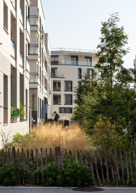 Des immeubles avec balcon en ville avec végétation