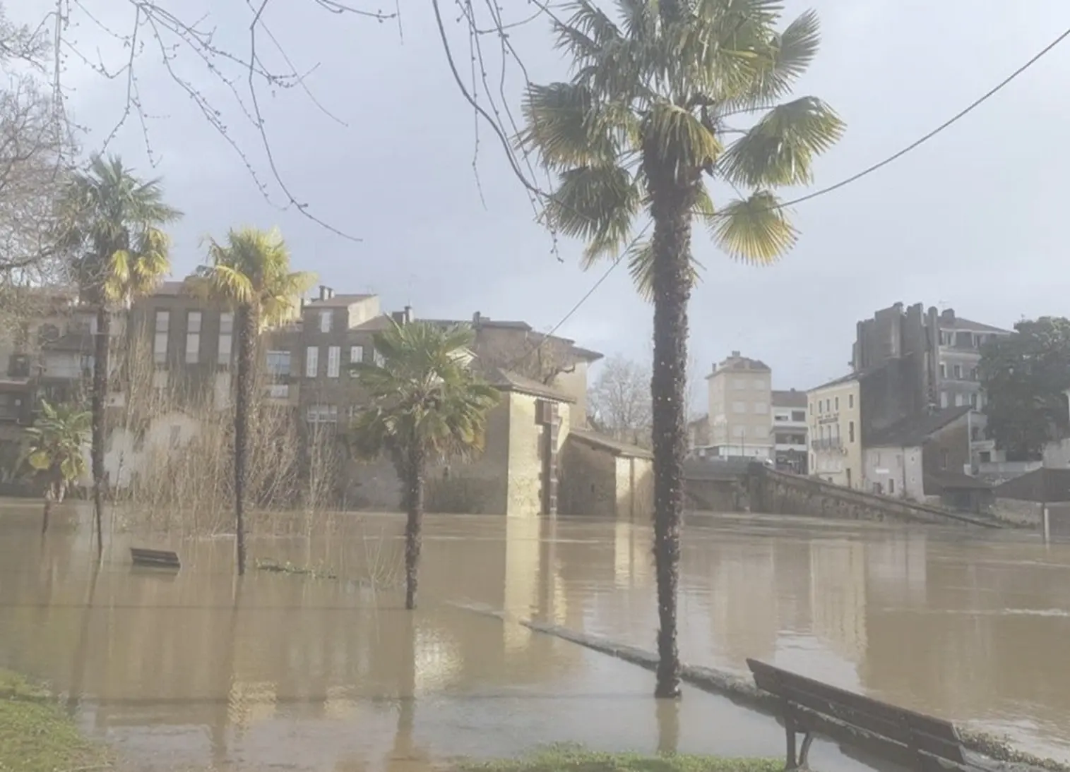 Vue d'une inondation urbaine avec des palmiers partiellement immergés dans l'eau boueuse. À l'arrière-plan, des immeubles et un pont en pierre sont visibles sous un ciel gris