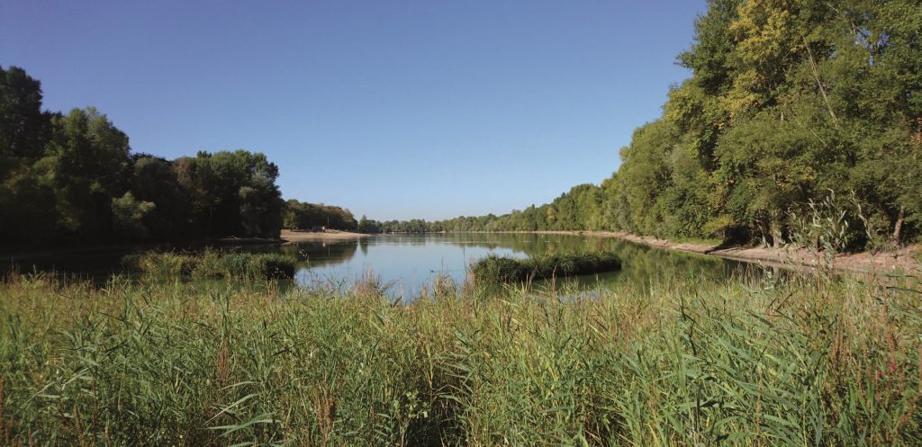 Restauration fonctionnelle, paysagère et hydro-écologique du plan d’eau de l’Île Charlemagne