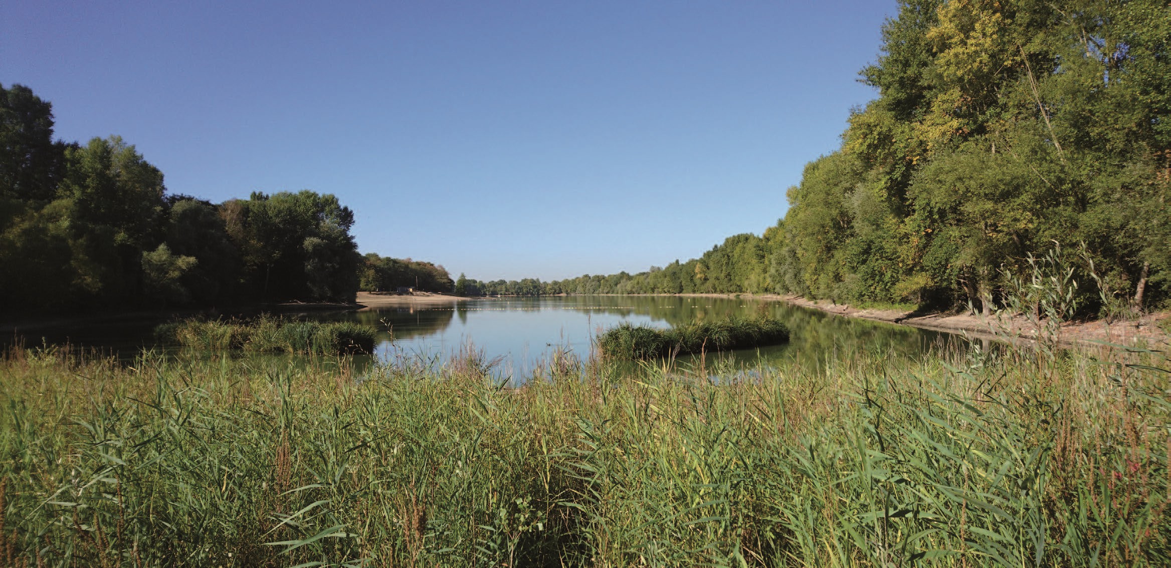 Une base de loisirs à Saint-Jean-Le-Blanc avec un plan d'eau entouré de verdure et d'arbres, reflétant un environnement naturel calme sous un ciel dégagé