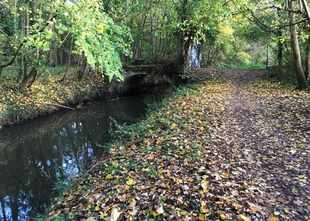 Restauration de la continuité écologique de l’Yvette et lutte contre les inondations sur l’Yvette aval