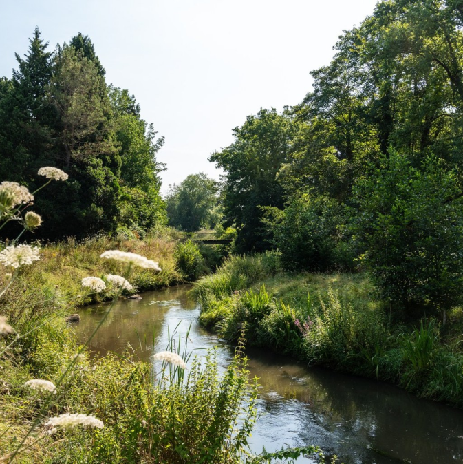 Cours d'eau avec berge fleuris et ombragés