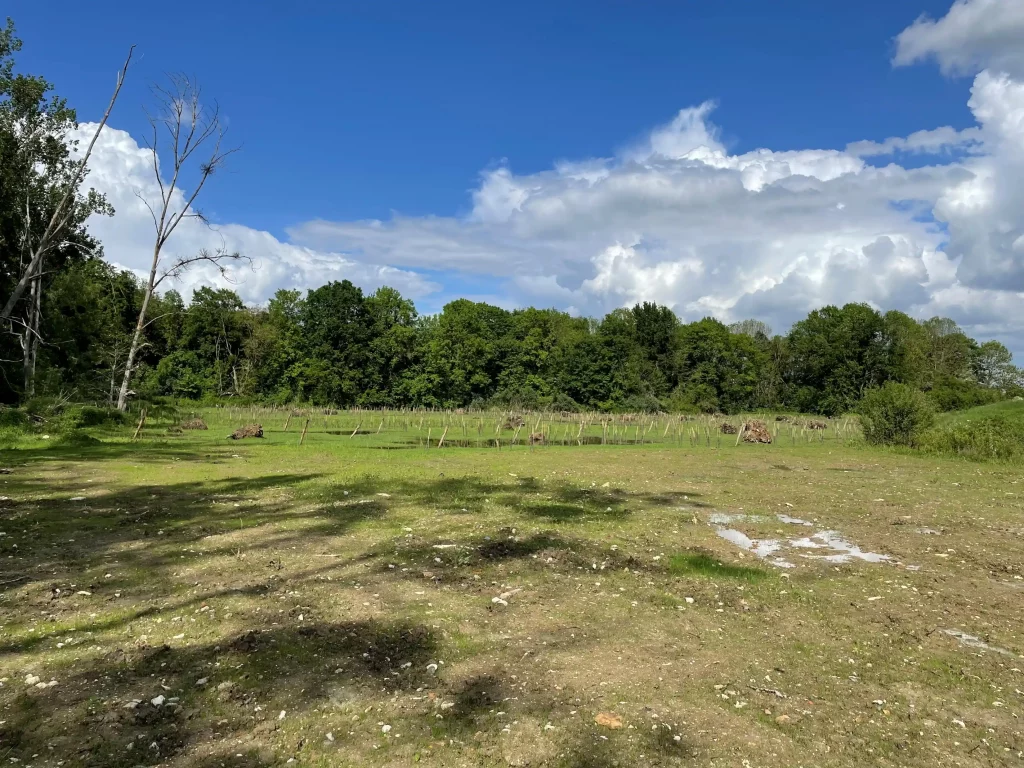 Zone humide en amont du bassin de Saulx-les-Chartreux