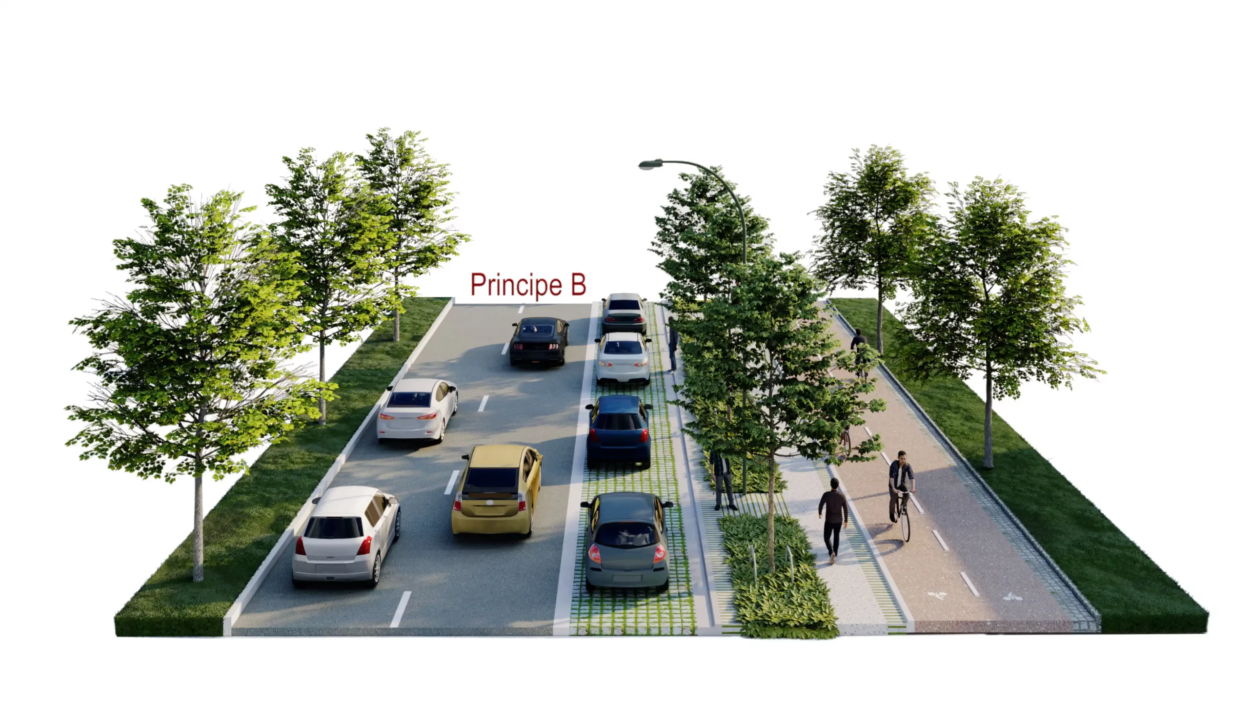 Aménagement "Principe B" : deux voies de circulation, espace végétalisé central, piste cyclable et chemin piéton bordés d’arbres.