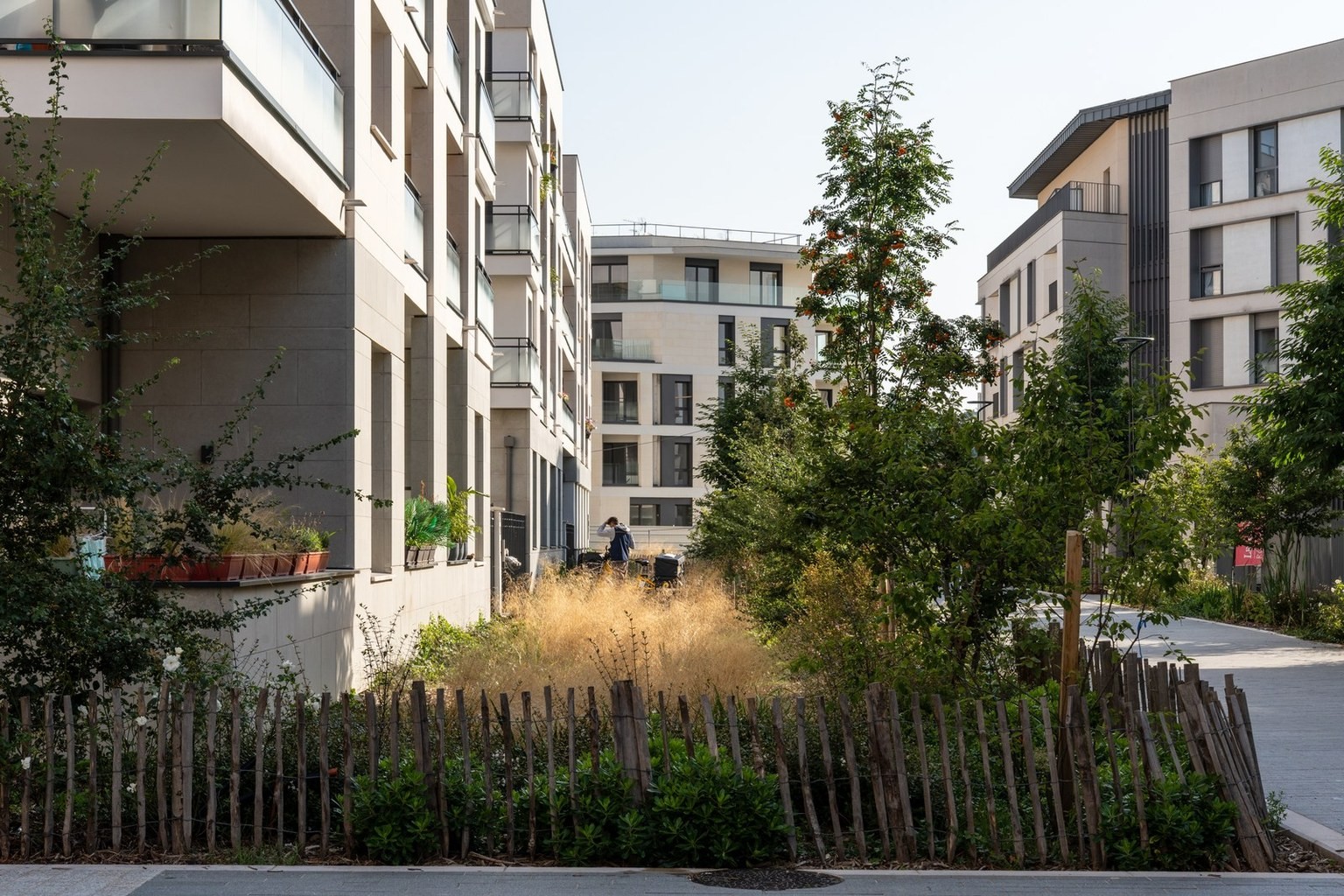 Vue d'un quartier résidentiel moderne avec des bâtiments entourés de végétation et des clôtures en bois naturel.